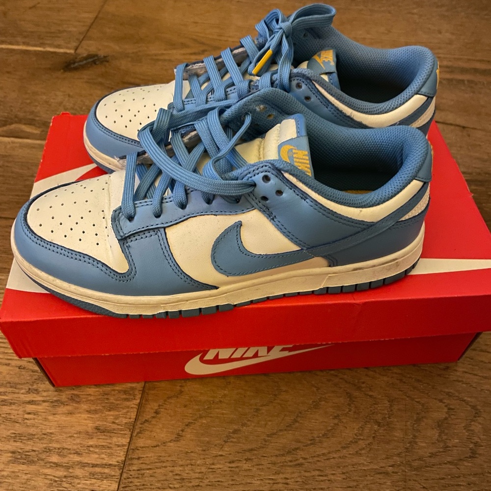 Nike dunk low coast